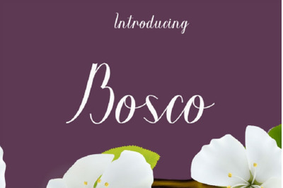 Bosco Font