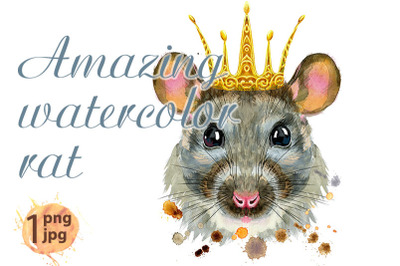 Watercolor portrait of rat with golden crown