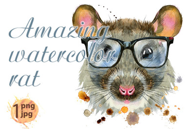 Watercolor portrait of rat with big black glasses