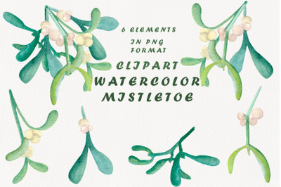 Mistletoe Watercolor Clipart