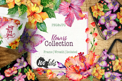 ibiscus PNG watercolor flower set