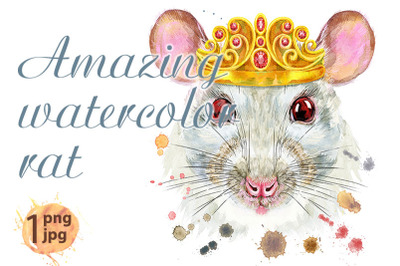 Watercolor portrait of white rat with golden crown and splashes