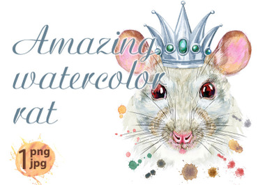 Watercolor portrait of white rat with silver crown and splashes