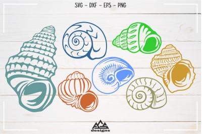 Sea Shells Packs Svg Design