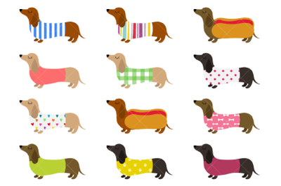 Dachshunds Clipart, Cute Sausage Dogs, Colorful Weiner Dogs