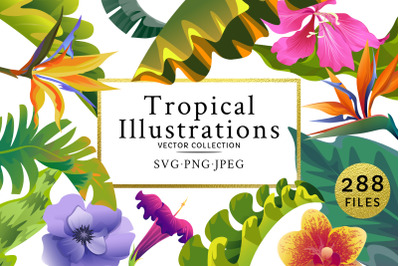 Flowers Tropical Illustration Pack Watercolor png