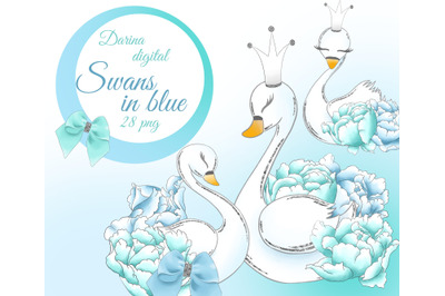 Swans in blue clipart