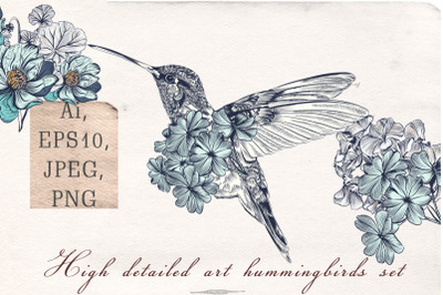 Collection of vector hummingbirds Vol.2