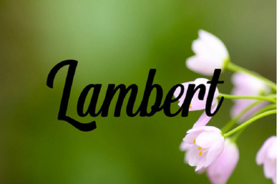 Lambert