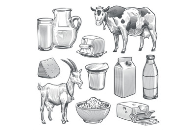 Hand drawn dairy products. Farm cow and goat milk healthy fresh produc