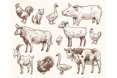 Sketch farm animals. Pig and cat&2C; bull and cow&2C; rooster and chicken&2C; g