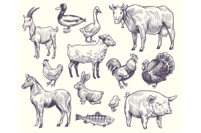 Hand drawn farm animals and birds. Goat, duck and horse, sheep and cow