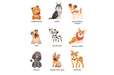 Cute puppies. Funny dogs of different breeds. Cartoon pomeranian, husk