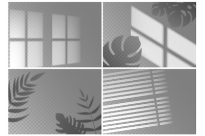 Realistic shadow overlay. Window light with shadow texture of tropical