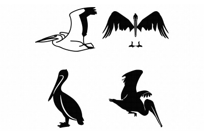 pelican bird SVG clipart