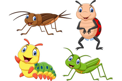 Cartoon Insect Collection