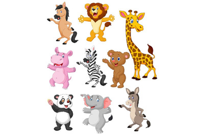 Wild Animals Collection