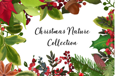 Christmas nature collection - watercolor florals