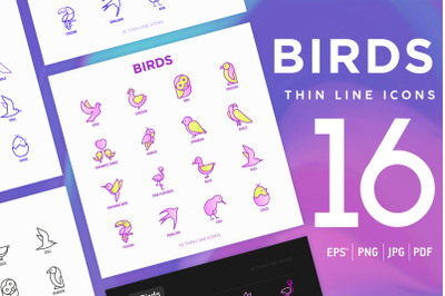Birds | 16 Thin Line Icons Set