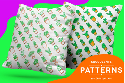 Succulents Patterns Collection