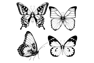 Vector butterfly hand drawn set sketch style on white background.