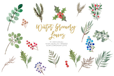 winter greenery leaves clipart, Christmas Leaves