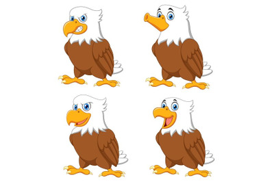 Cartoon Eagles Collection