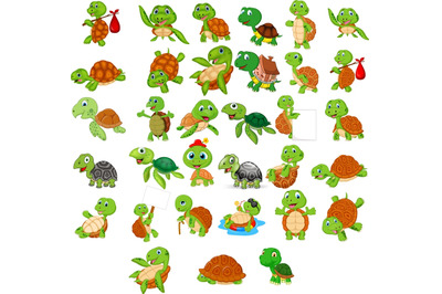 Cartoon Turtle Collection