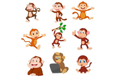 Cartoon Monkey Collection