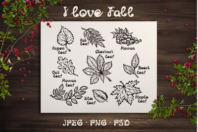 9 hand sketched cards with fall leaves