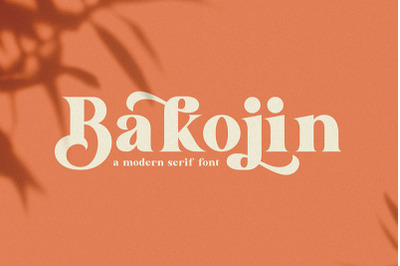 Bakojin//Modern Serif Font