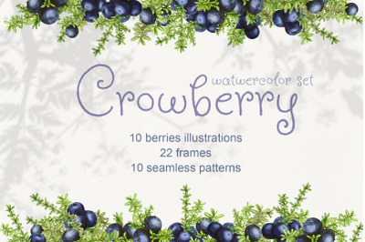Crowberry. Watercolor set illustrations