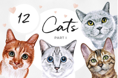 PART 1. Watercolor cat illustrations. Cute 12 cats. Kitty. Meow