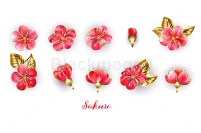 Set of Red Sakura Flowers