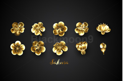 Set of Golden Sakura Flowers