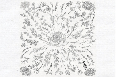 Individual Black Hand Drawn Florals Collection