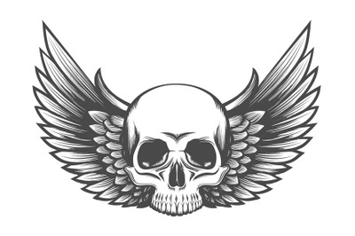 Human Skull with Wings tattoo drawn in Engraving style. Vector illustr