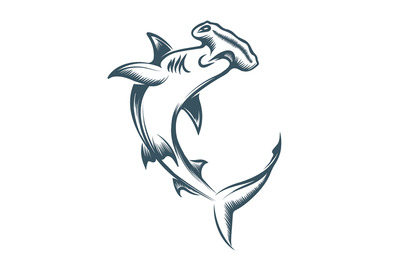 Hammerhead Shark Engraving Illustration