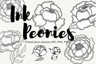 Peonies collection