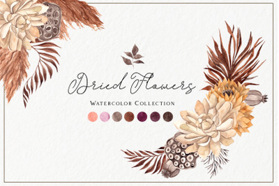 Dried Flowers. Watercolor collection