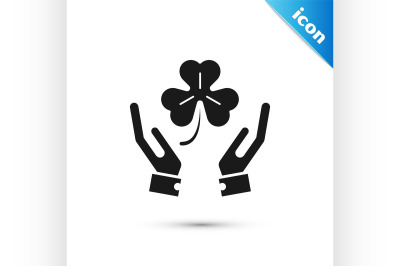 Black Human hands holding four leaf clover icon isolated on white back