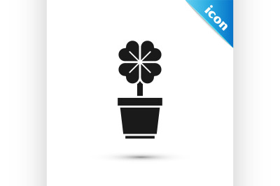 Black Four leaf clover in pot icon isolated on white background. Happy