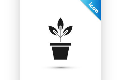 Black Flowers in pot icon isolated on white background. Plant growing