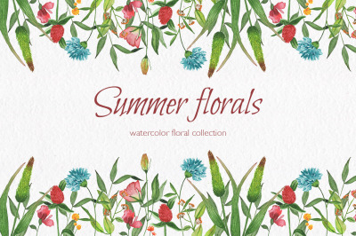Summer florals. Watercolor floral collection.