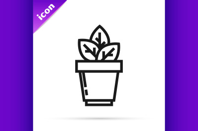 Black line Flowers in pot icon isolated on white background. Plant gro