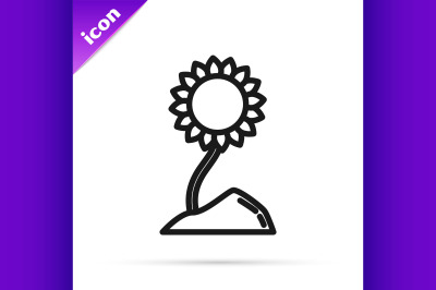 Black line Sunflower icon isolated on white background.  Vector Illust