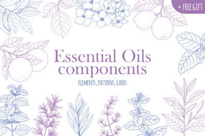 Essential Oils components