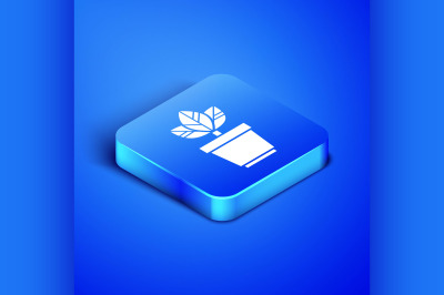 Isometric Flowers in pot icon isolated on blue background. Plant growi