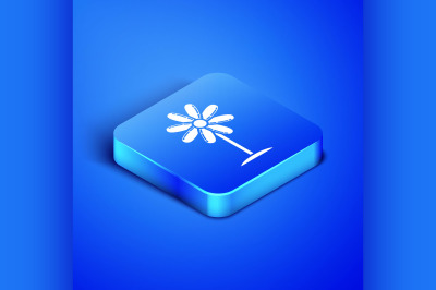 Isometric Flower icon isolated on blue background. Sweet natural food.