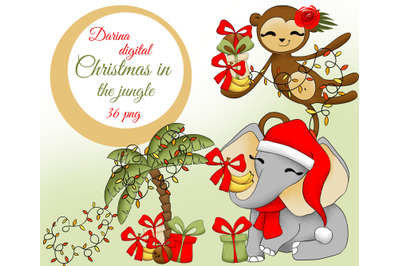Christmas in the jungle